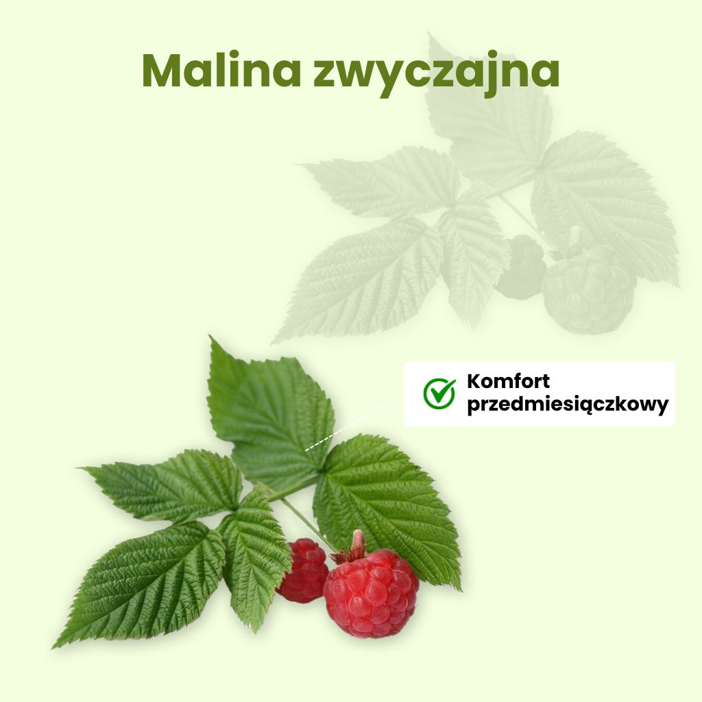 (Polština) Malinik